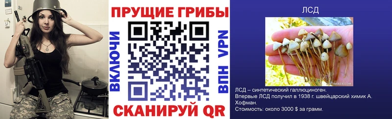 Псилоцибиновые грибы прущие грибы  купить  цена  Северодвинск 