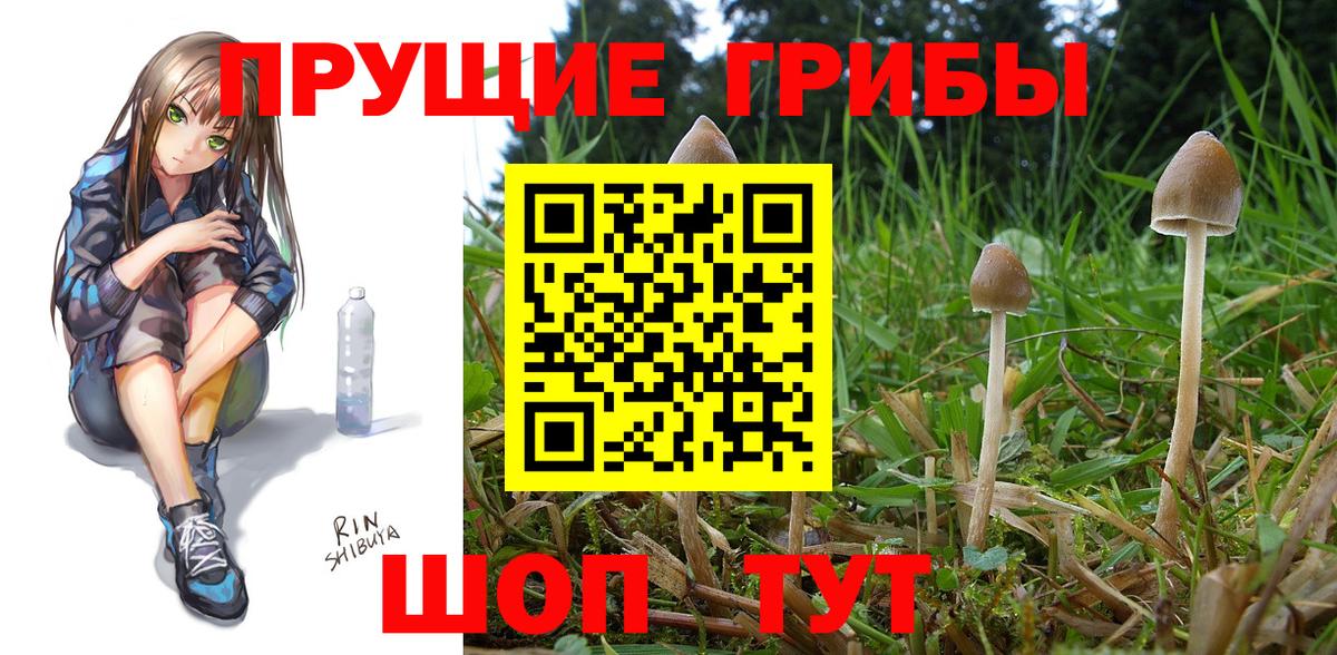 Северодвинск  Галлюциногенные грибы мицелий  Вход с VPN 