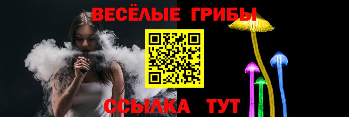 Псилоцибиновые грибы мухоморы Северодвинск